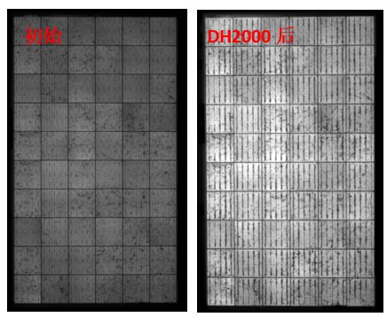 图13 组件采用VA33含量EVA封装后，DH2000前后的EL图